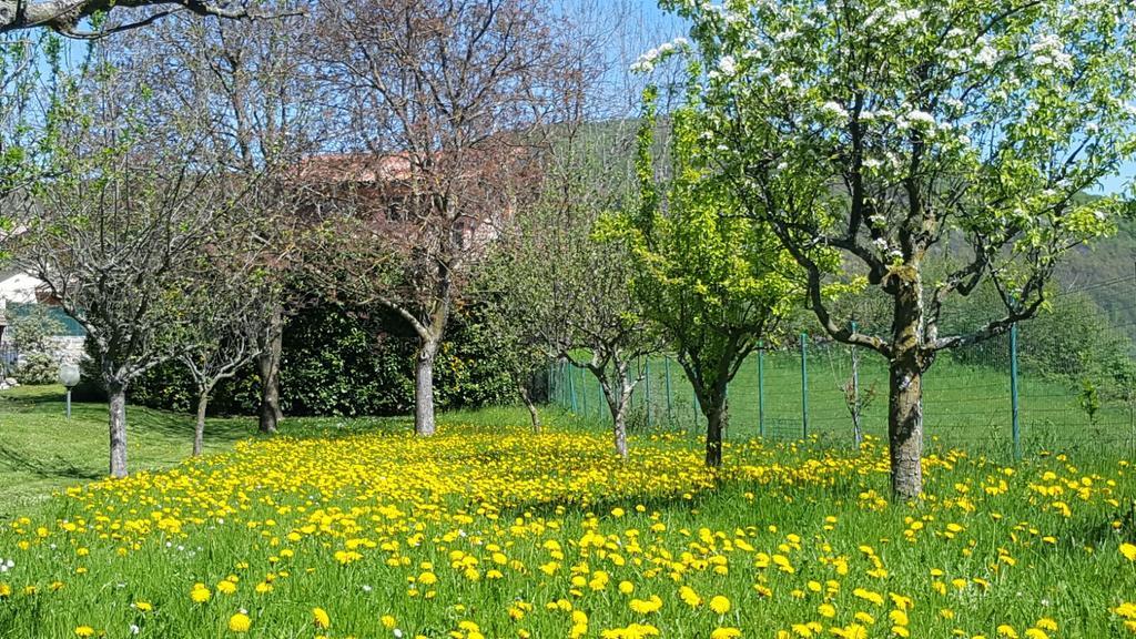 Villa San Giorgio Pellio Superiore エクステリア 写真